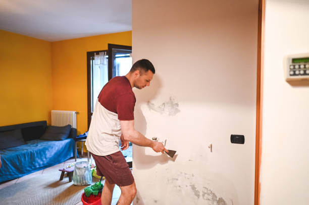 Best Water Damage Restoration  in Bardstown, KY